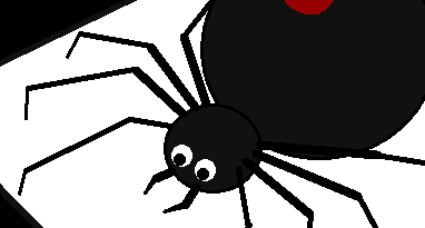 Funny Spider