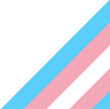 Trans Flag